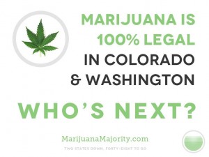 marijuana legalization 300x225 The Economic Benefits of the Legalization of Marijuana